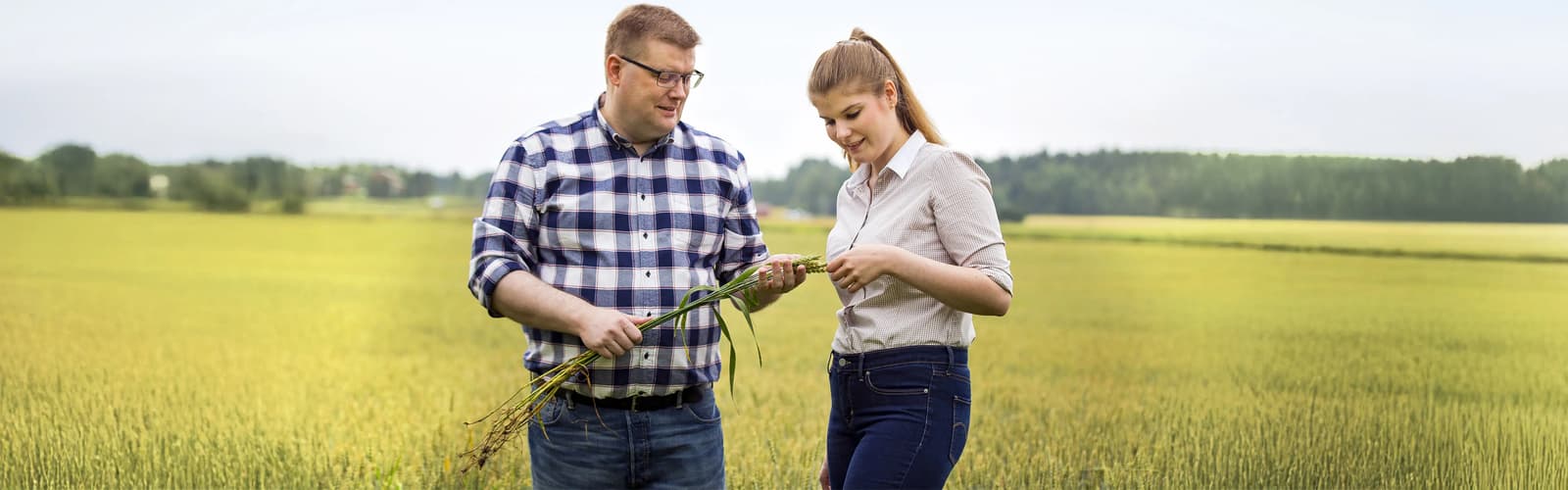 20170817 farm uusitalo 1172 jatkettu