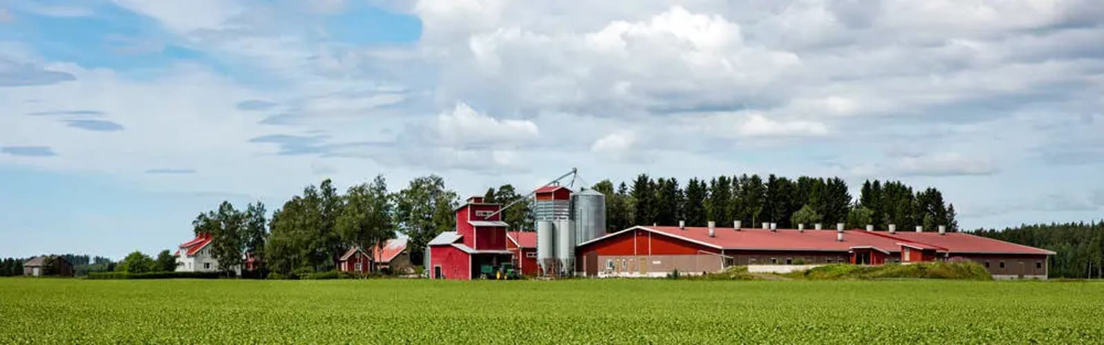 Diversity and equality