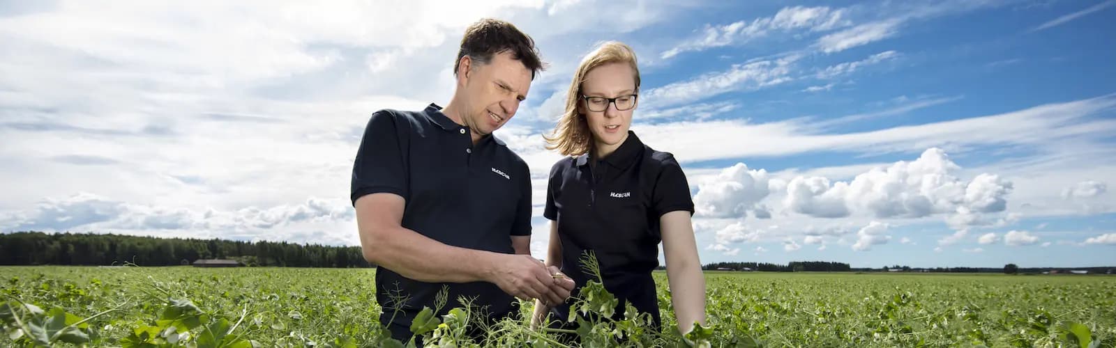 Economic responsibility