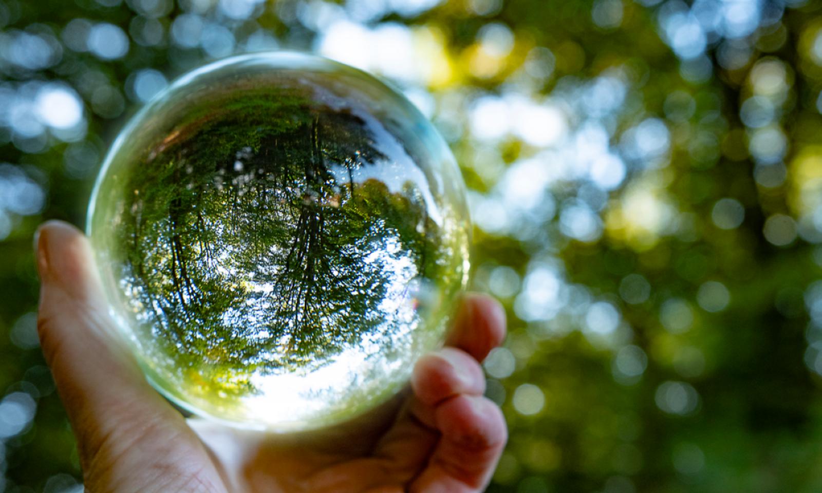 HKFoods SBTI 1200x800