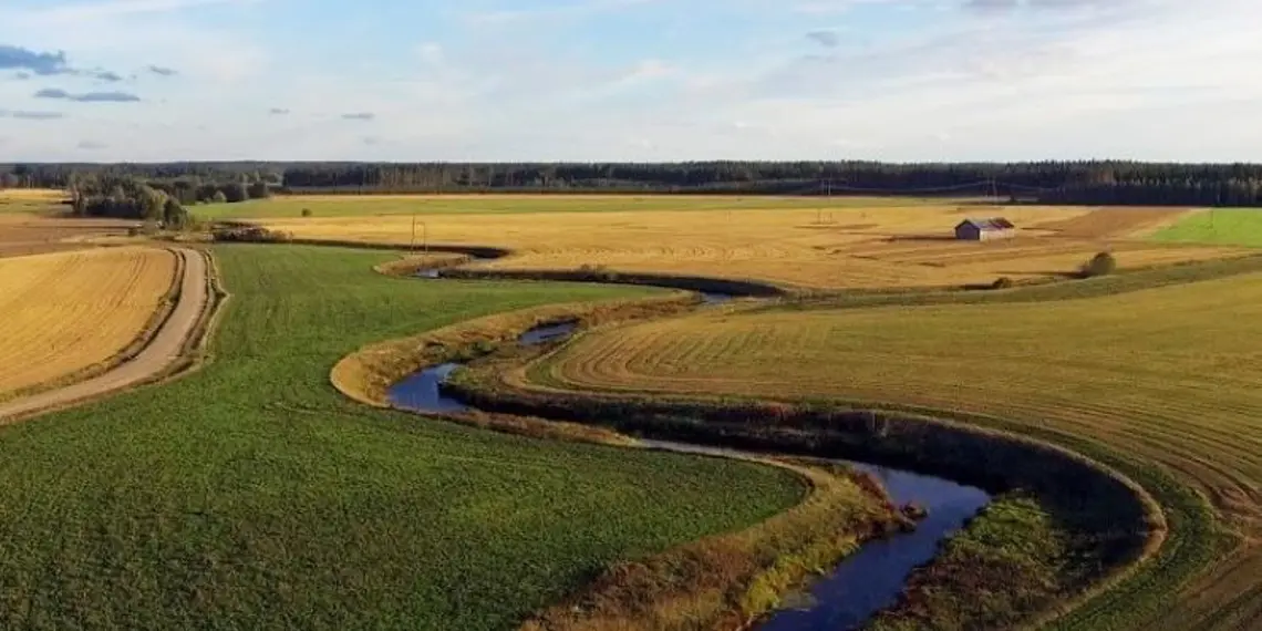 HKFoods ja Wega netti