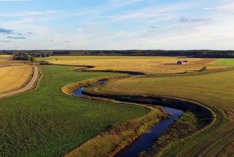 HKFoods ja Wega netti