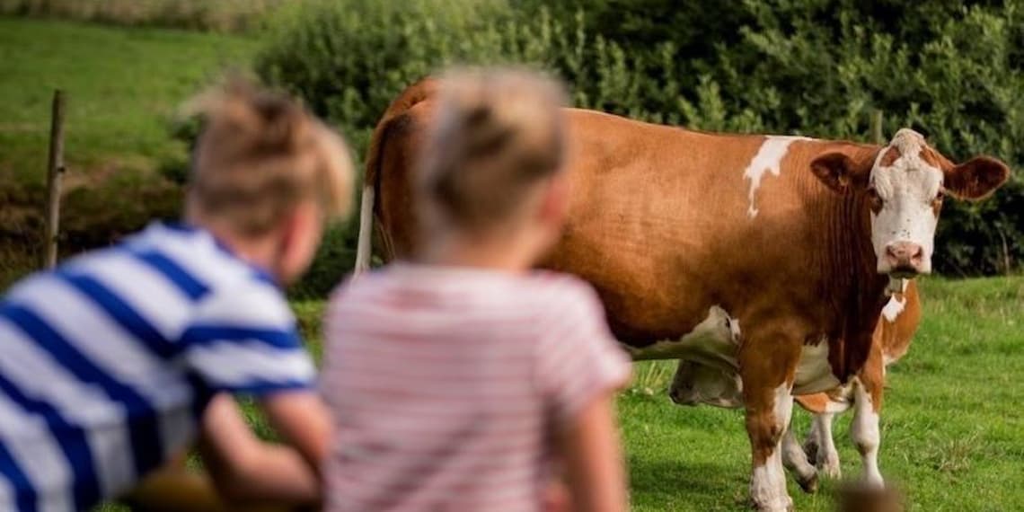 Sustainability programme web