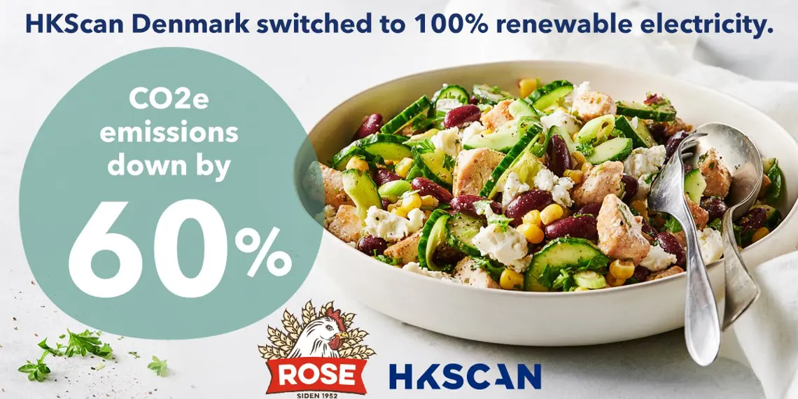 DK renewable energy linkedIn english