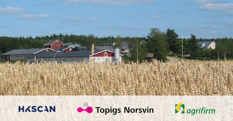 HKScan TopingsNorsvin Agrifirm Linkedin banneri 1200x627 v1 A final