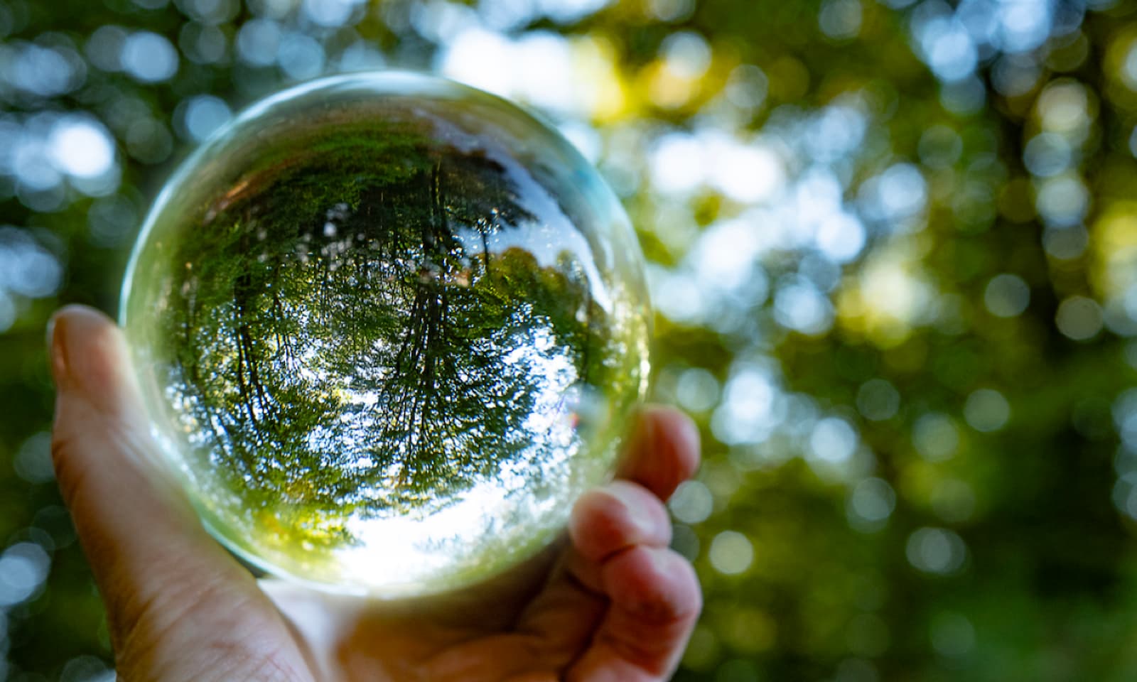 HKFoods SBTI 1200x800