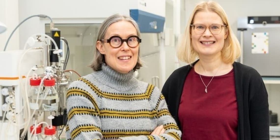 Hanhineva Linderborg v3