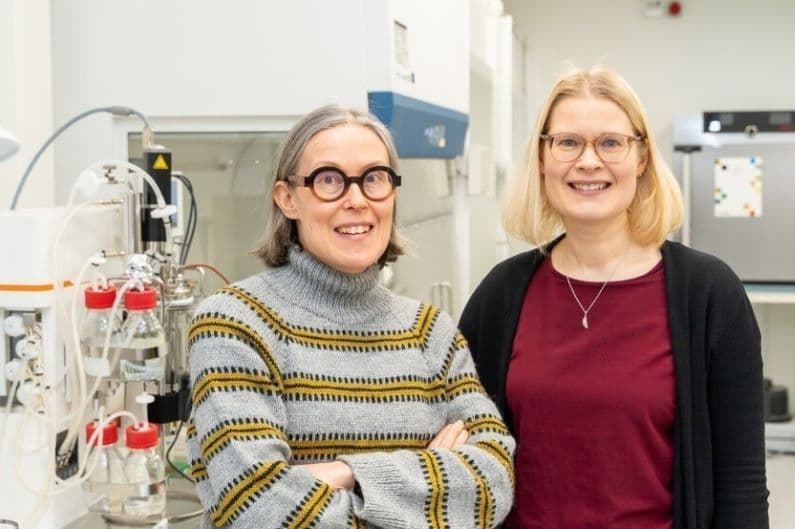 Hanhineva Linderborg v3