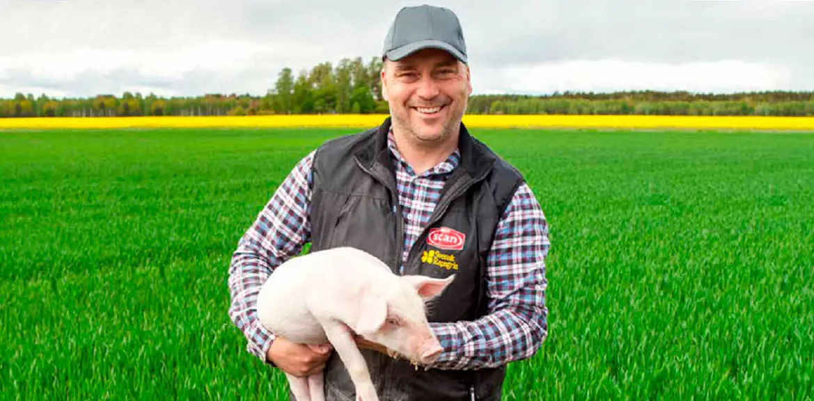 grisakademin topbild1 Original2