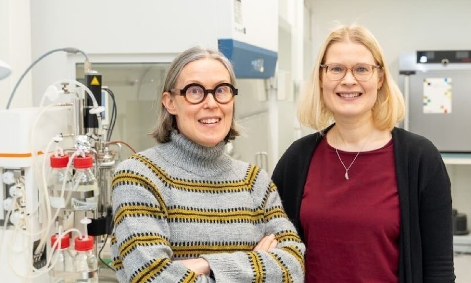 Hanhineva Linderborg v3