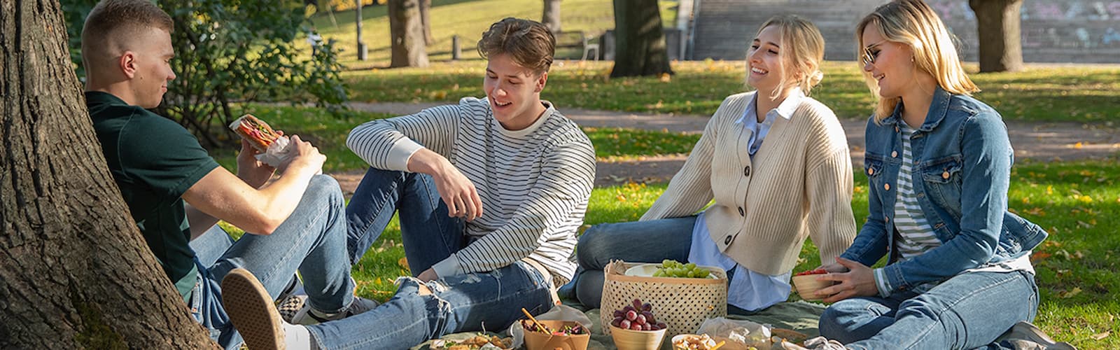 Food moments, picnic