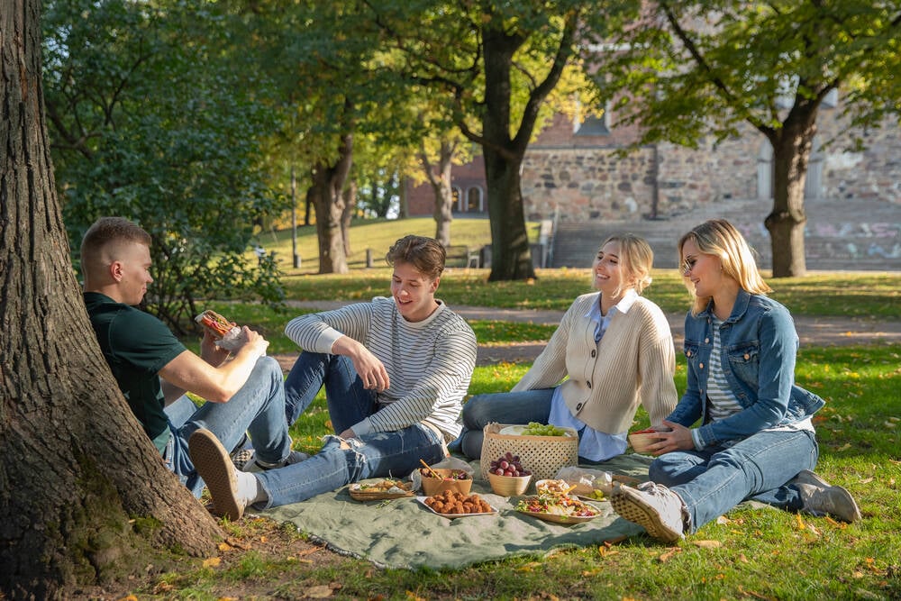 Picnic ystävien kanssa, valmistamme ruokaa maailman puhtaimman luonnon keskellä, vastuullisesti tuotetuista raaka-aineista.