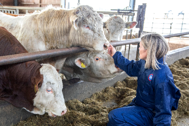 Eläinten hyvinvointi 667