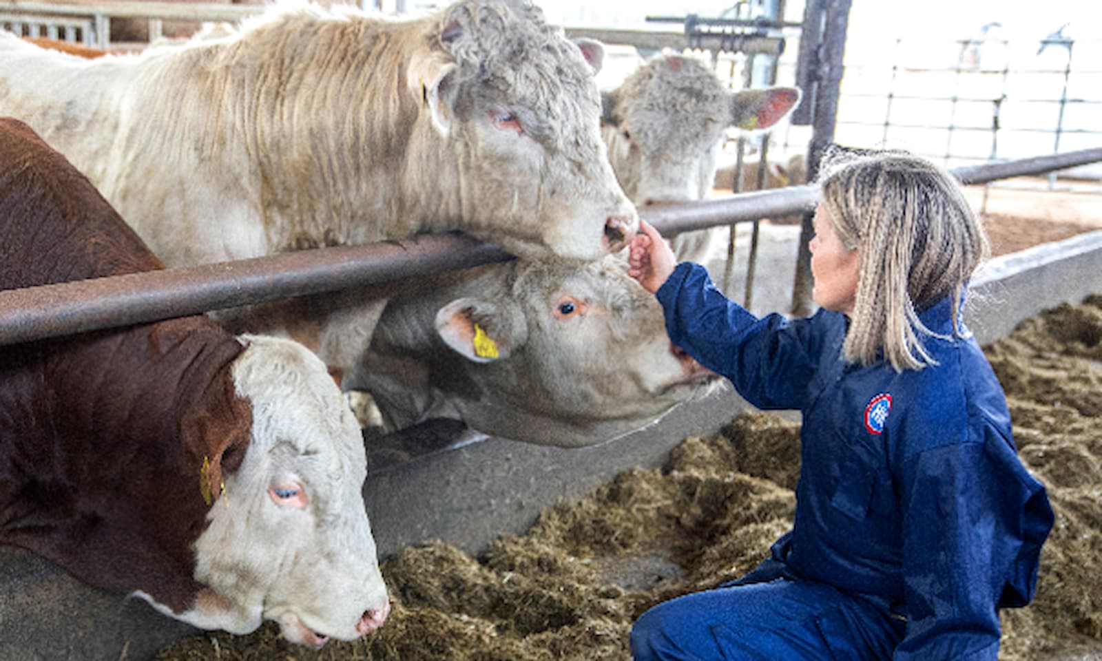 Eläinten hyvinvointi 667