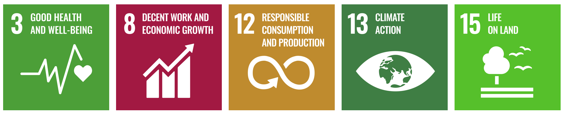 SDG_targets.png