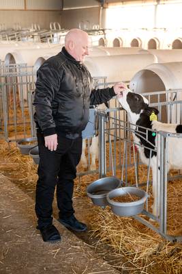 Tvaaker_Cattle02.jpg