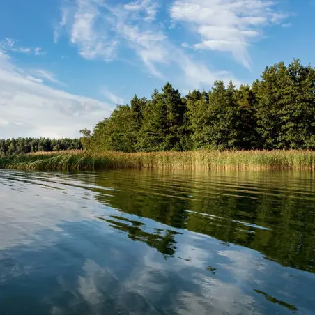 Finnish nature 1 web