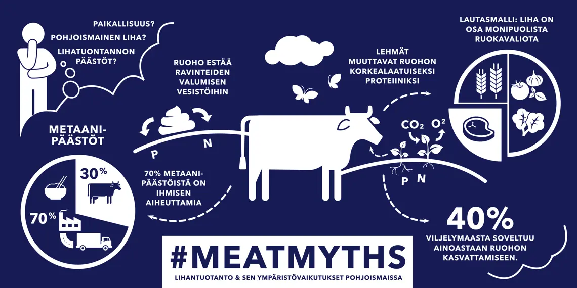 hkscan meatmyths infographics fin