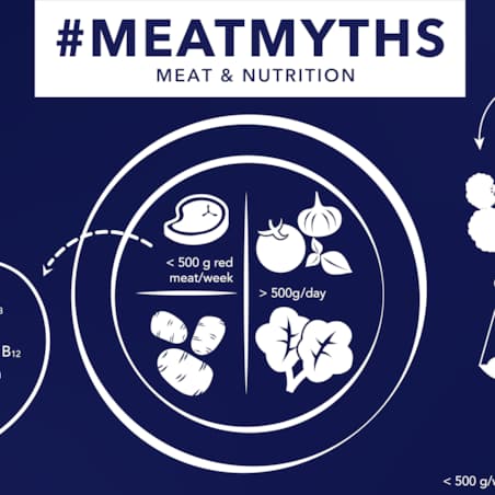 HKScan nutrition infographic en