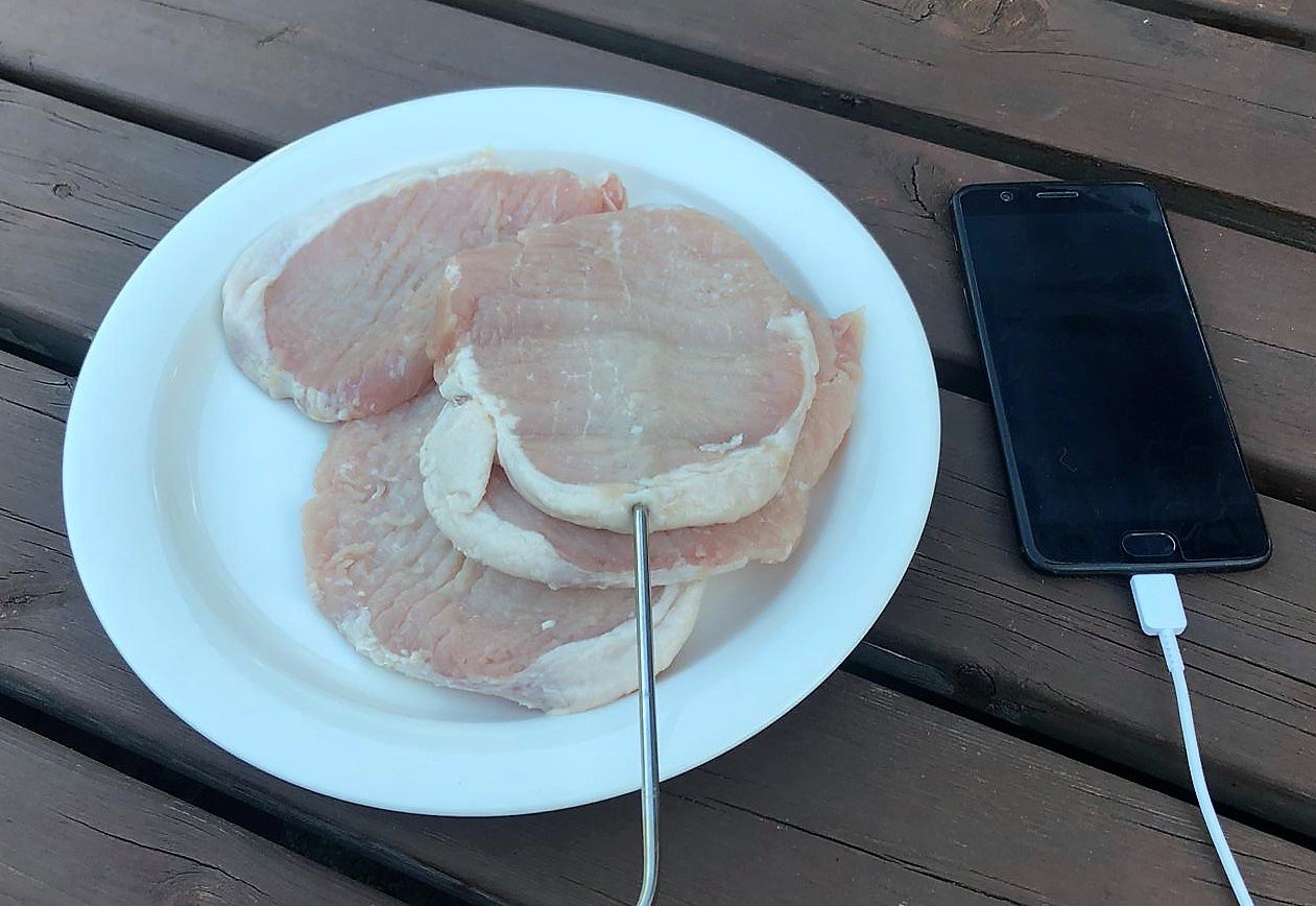 Lihalämpömittarin käyttö.jpg