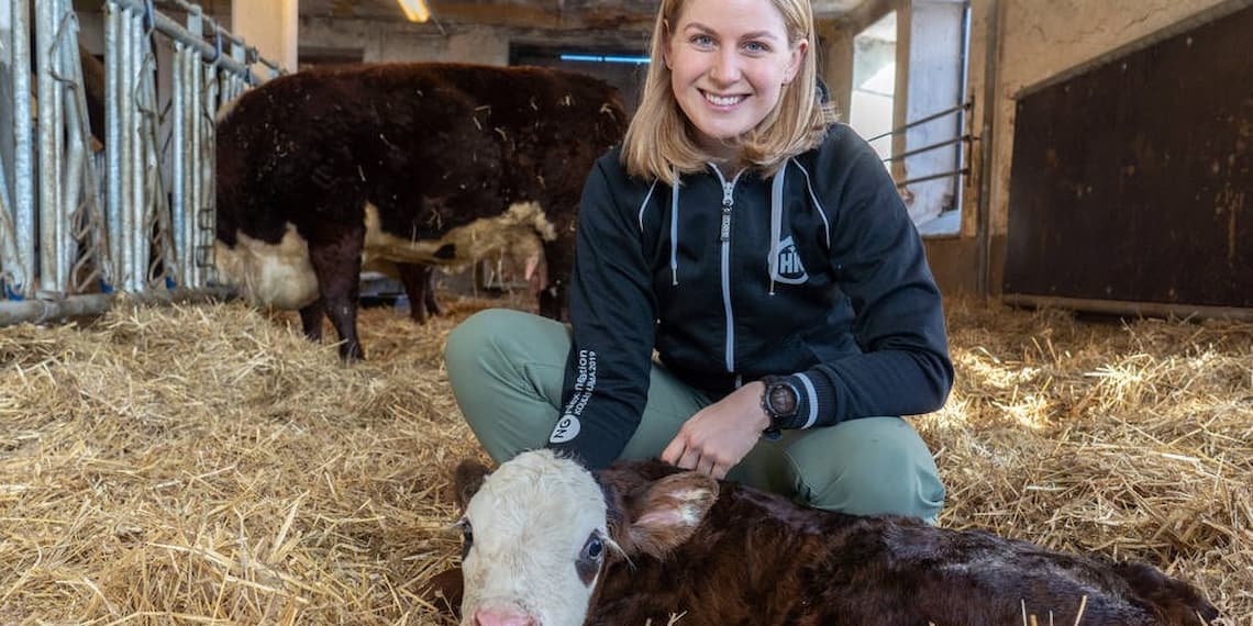 Suontaka vasikka poikimiskarsina Ellen Rydbeck HKScan