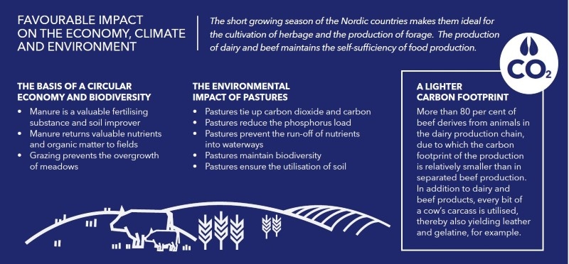 Beef_production_and_environment_web_pic.JPG
